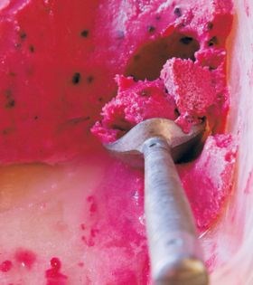 Blackberry frozen yogurt