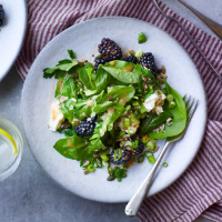 Blackberry, goats' cheese and spinach salad