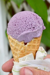 Blackberry ice cream: no churn