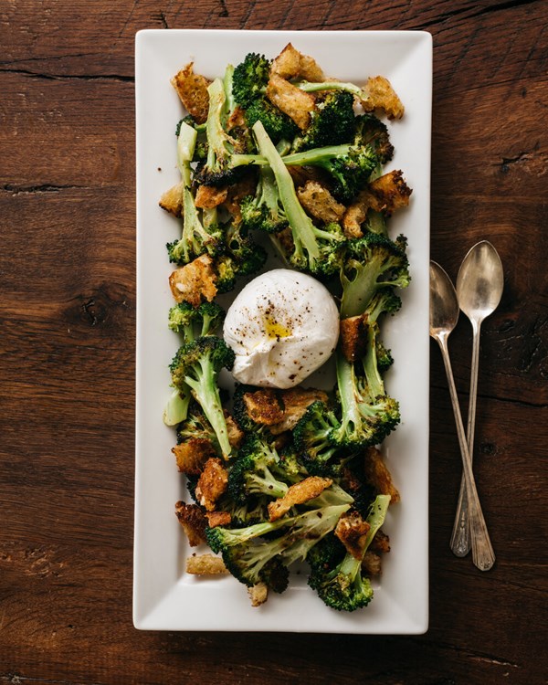 Blasted broccoli with burrata and spicy anchovy bread shards