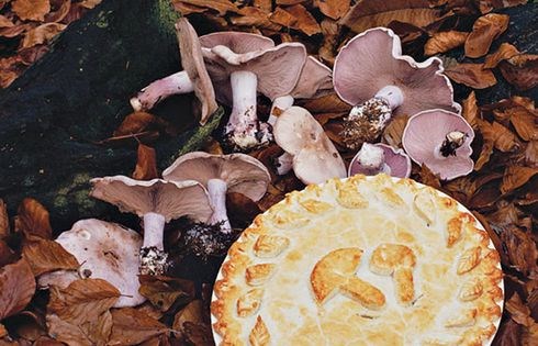 Blewit and chicken pie