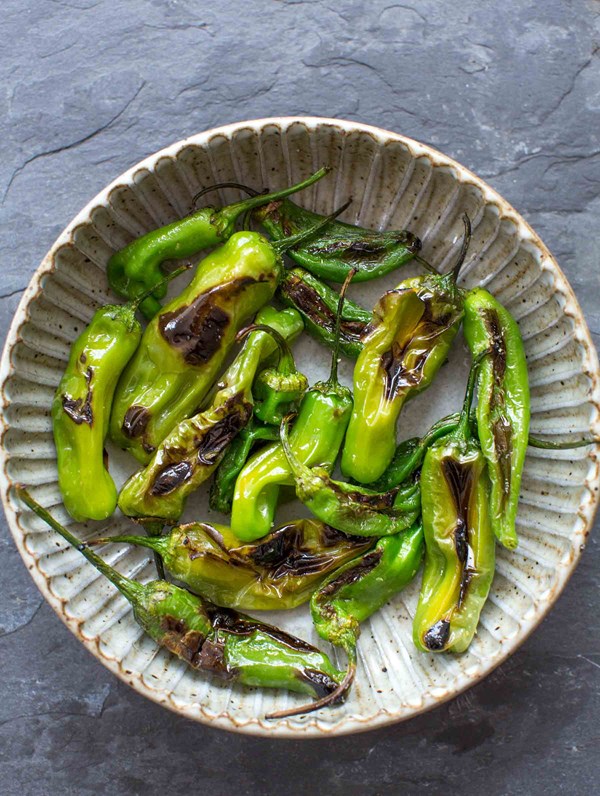 Blistered shishito peppers