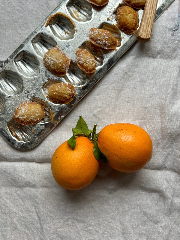 Blood orange, brown butter and honey madeleines 