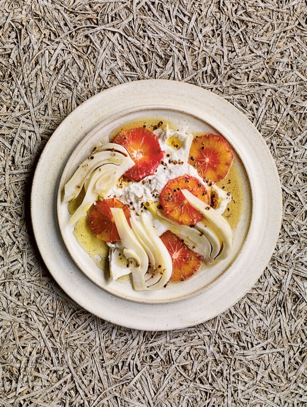 Blood orange, burrata & fennel with toasted coriander seed oil
