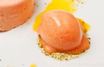 Blood orange sorbet