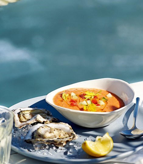 Bloody Mary gazpacho with fresh oysters