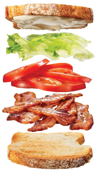 BLT basics