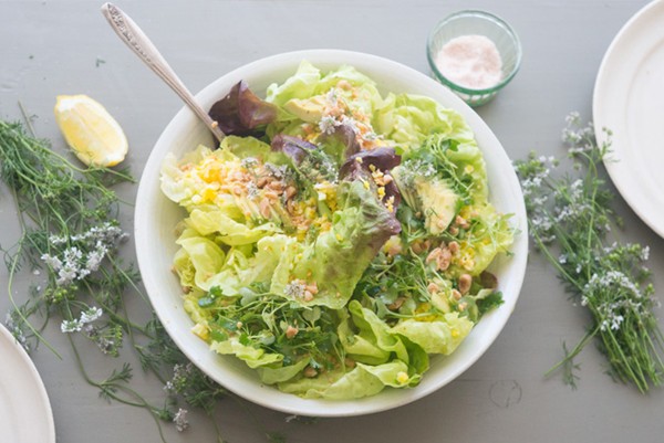 Blue kale studio salad