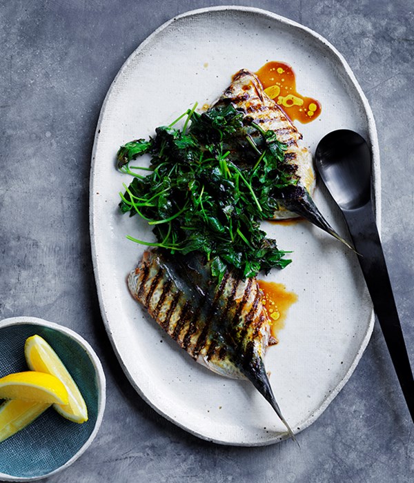 Blue mackerel and charred parsley