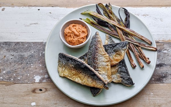 Blue mackerel with romesco sauce