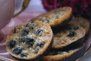 Blueberry and hazelnut chocolate Florentines