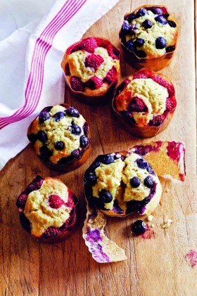 Blueberry and raspberry mini megs