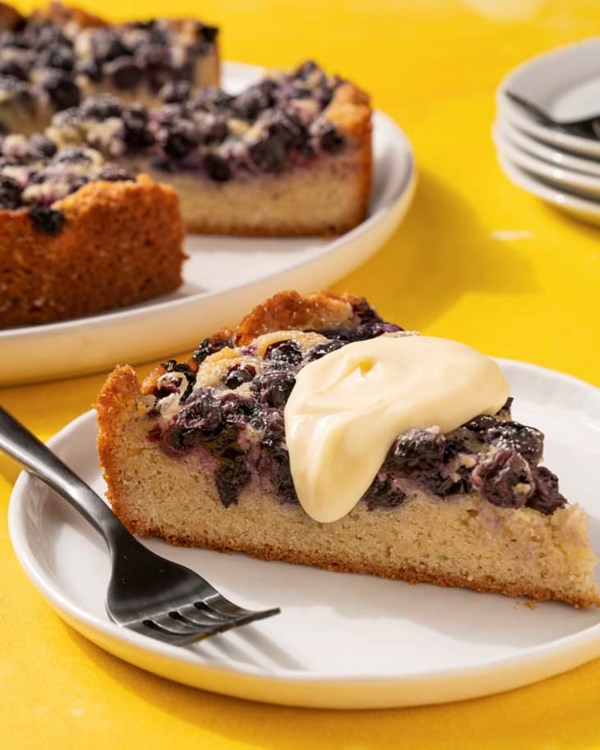 Blueberry cake