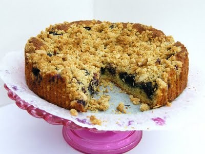 crumble blueberry cake annabel langbein recipes