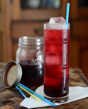 Blueberry drinking shrub