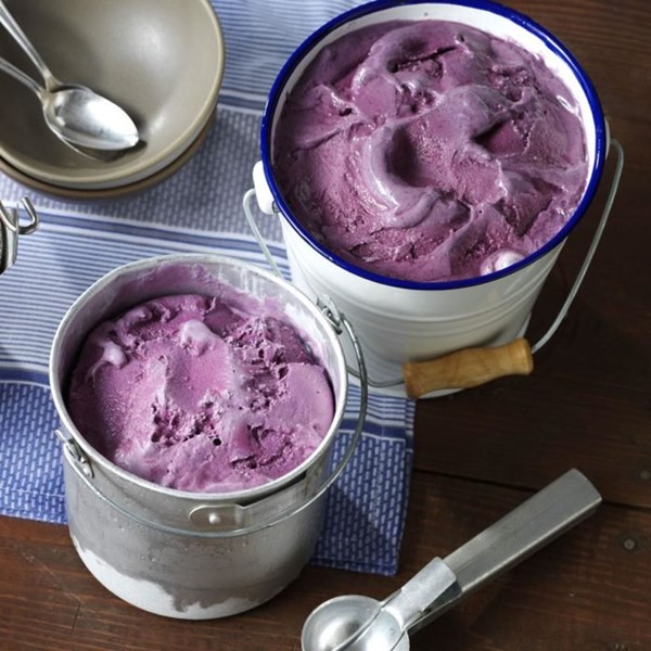 Blueberry ice cream