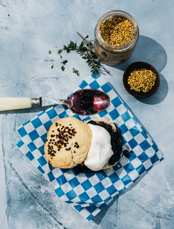 Blueberry thyme shortcakes with honey whipped cream and bee pollen
