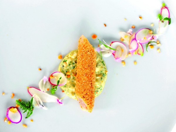 Bluestem's catfish sticks with corn nuts (Cook the Book)