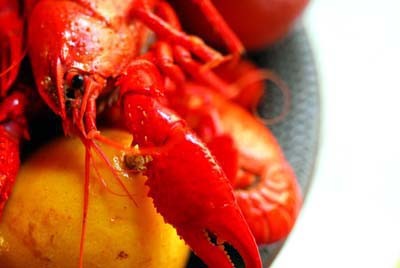 Boiled crawfish