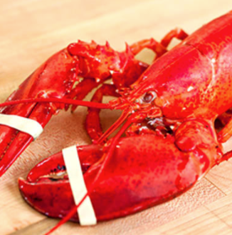 Boiled lobster