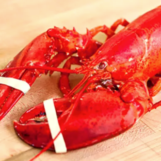 Boiled lobster