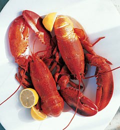 Boiled lobster with drawn lemon-caper butter