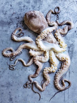 Boiled octopus