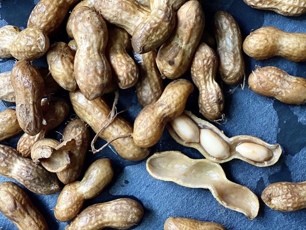 Boiled peanuts