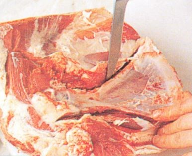 Boning a shoulder of lamb