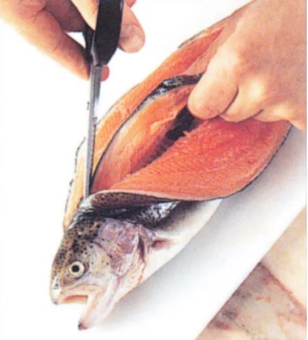 Boning along the backbone of whole round fish