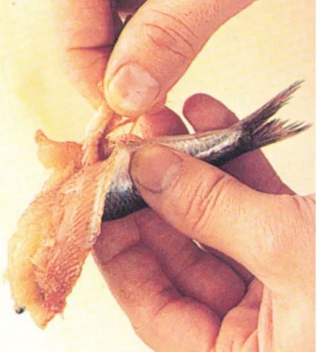 Boning small round fish