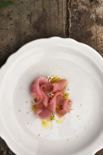 Bonito crudo