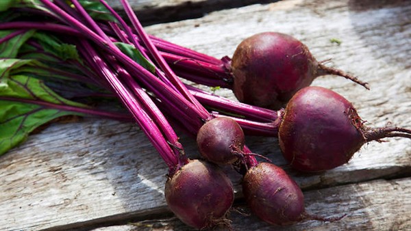 Borscht
