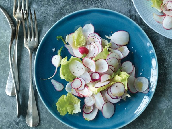 Boston lettuce and radish salad [Katherine Anderson]