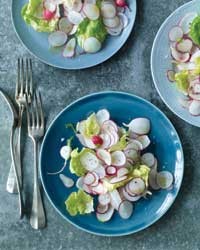 Boston lettuce and radish salad