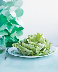 Boston lettuce salad with herbs