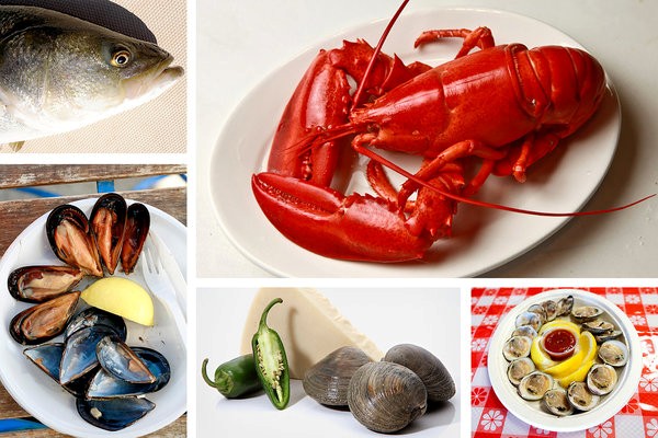 Bouillabaisse