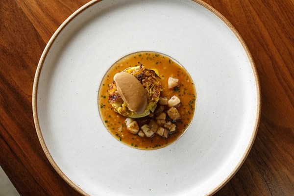 Braised cabbage, burnt cream, Bordelaise sauce