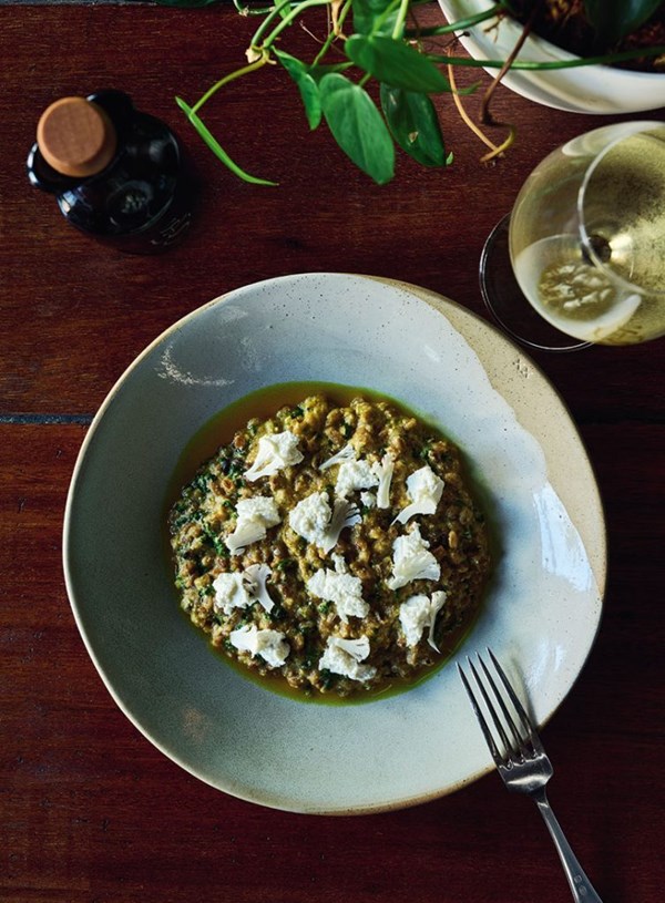 Braised fermented farro with cauliflower crème, Clevedon buffalo ricotta & curry oil
