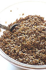 Braised lentils