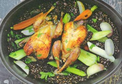 Braised partridge and Puy lentil pot