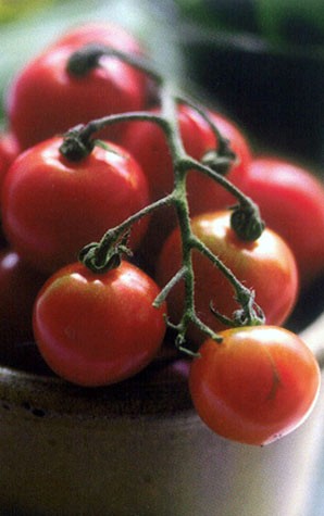 Bread and tomato salad (Panzanella o fresella)