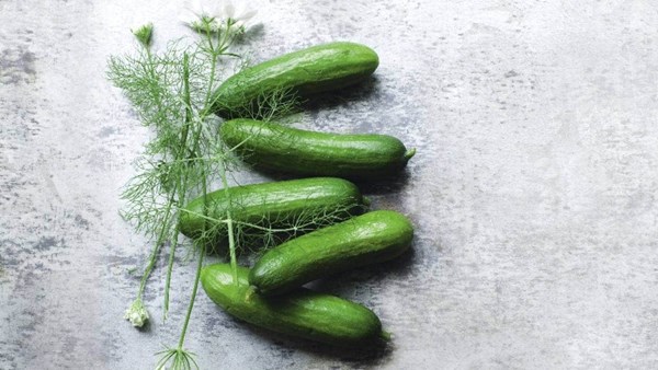 Brined dill cucumbers