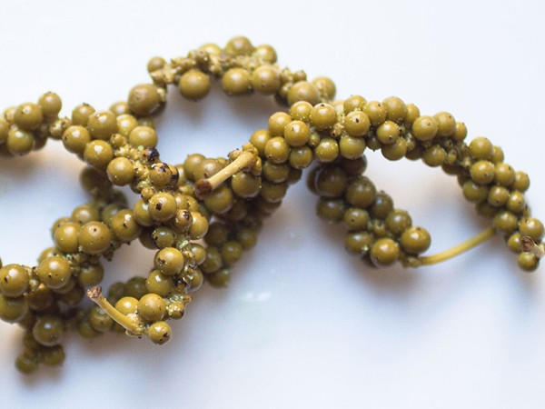 Brined peppercorns