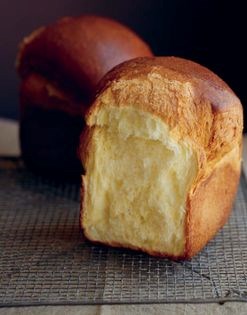 Brioche