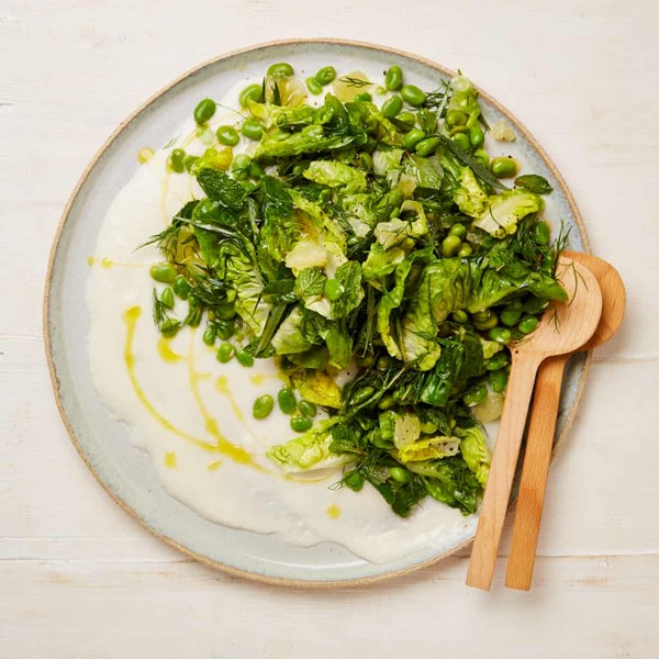 Broad bean and herb salad with toum