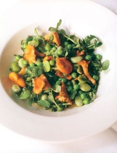 Broad bean, pea and girolle salad