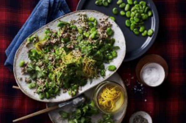 Broad bean, quinoa and pickled lemon skin salad
