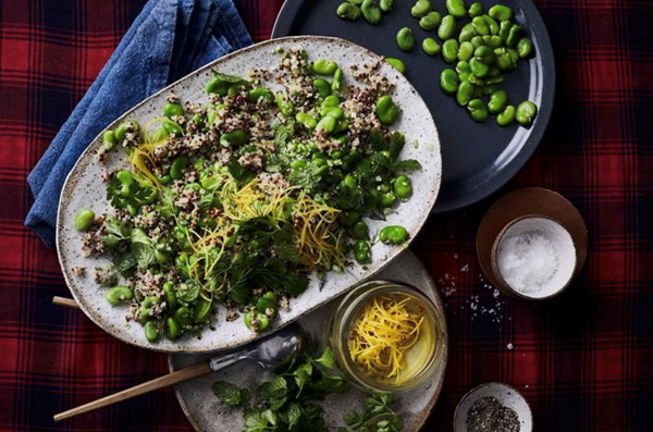 Broad bean, quinoa, pickled lemon-skin salad