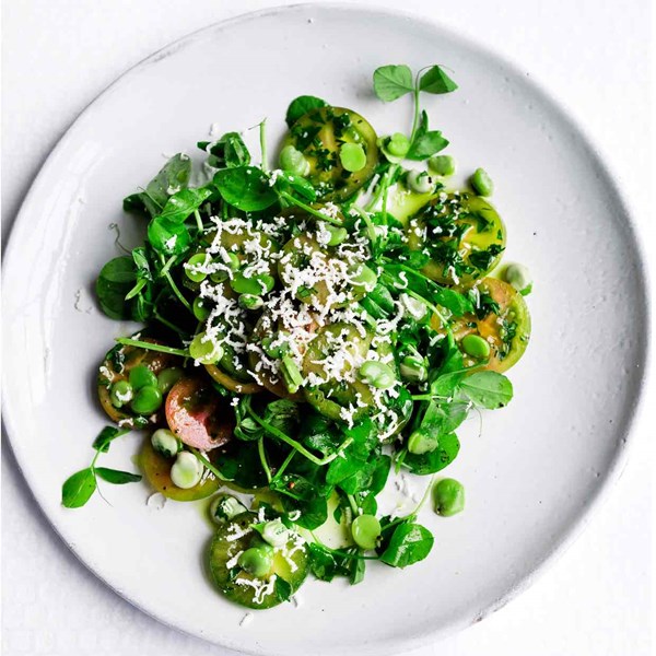 Broad beans, pea shoots and salted ricotta